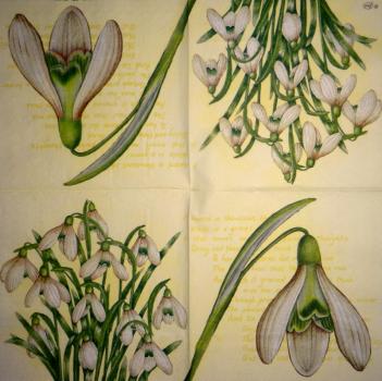 045 Daffodils - 3-ply (yellow)